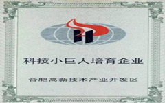 喜訊 私人影院在线观看免费入選合肥高新區“科（kē）技（jì）小巨人（rén）”培育企（qǐ）業