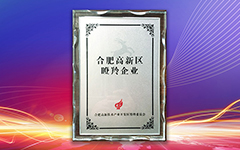 熱烈祝賀私人影院在线观看免费榮獲合肥高新區2018年度“瞪羚企業”榮譽稱號