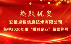 熱烈祝賀安徽私人影院在线观看免费信息技術（shù）有（yǒu）限公司獲得2020年度“瞪羚（líng）企業”榮譽稱號