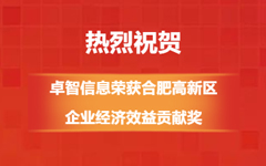熱烈祝賀（hè）!私人影院在线观看免费信（xìn）息榮獲合肥高新區企業經濟效益貢獻獎